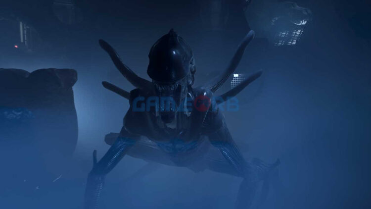 Sara Barone tiết lộ bí mật âm nhạc kinh dị trong Alien: Rogue Incursion